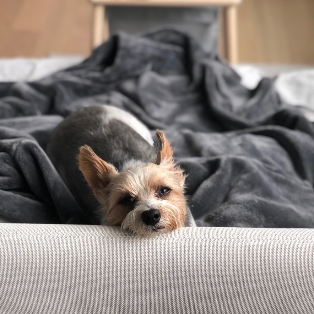 MY LITTLE BABY 🥰 - Picture 4 of 16